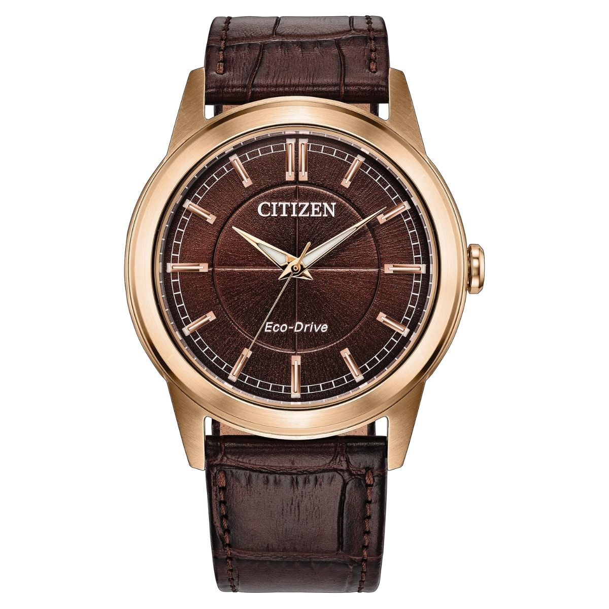 Citizen Rolan AW2113-16X